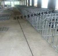 国标热镀锌猪用定位栏母猪限位栏母猪单体栏养殖设备