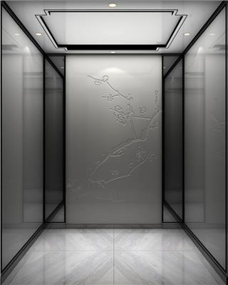 广州别墅电梯 复式阁楼别墅客梯 客制化设计