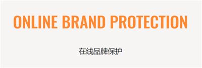 在线品牌保护 Online Brand Protection