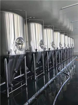 年产量5000吨精酿啤酒设备 年产1万吨啤酒机器厂家