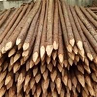 上海木桩供应