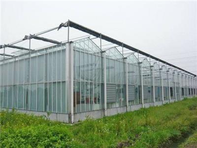 智能玻璃温室大棚 恒瑞农业承建 薄膜连栋温室 可定制