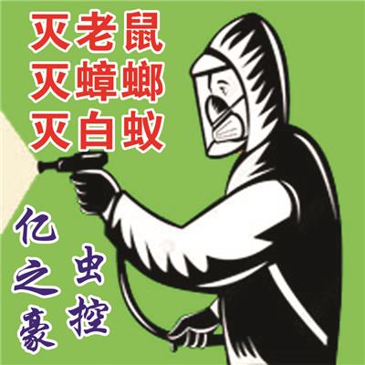 消灭白蚁 公司致力于诚信 桂林工厂灭白蚁的技术