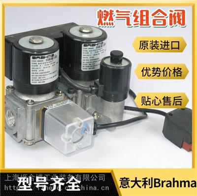 Brahma火焰探测器 RE3系列火焰监测器 上海坜合博一级代理商
