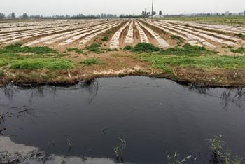 哪里可以做农业废水检测？水质检测