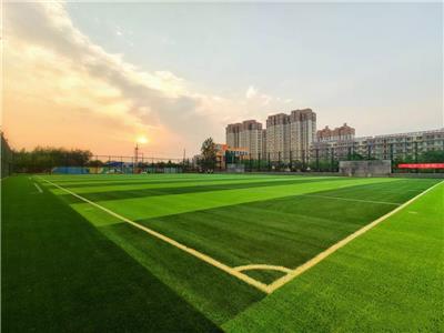 足球运动场地建设