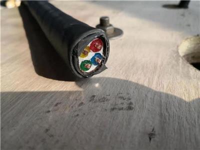 TRVVP耐油屏蔽拖链电缆