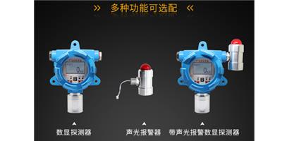 江苏可燃性气体检测仪 诚信为本 上海诺丞仪器仪表供应