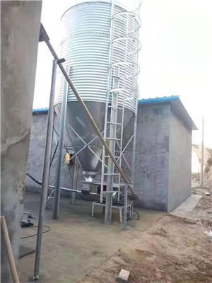 济源市猪舍养殖设备自动料线 家禽养殖自动料线