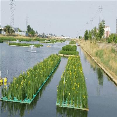 厂家定制 水生态治理 水生植物种植浮床 大型生态水生物浮床 水体绿化 水质净化 欢迎来电