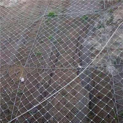 台州石笼网厂家 环形边坡防护网