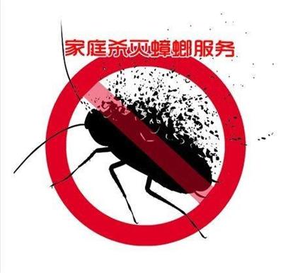 深圳市宝安区灭蟑螂电话 深圳市天喜有害生物防治有限公司