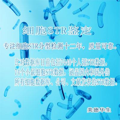 专注细胞STR鉴定十三年-细胞STR分型检测-郑州细胞STR分型检测怎么做