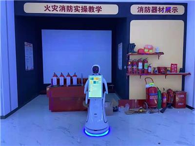 定安县展馆讲解机器人公司 定制