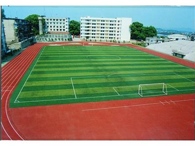 枣庄足球体育场地施工工程 多年施工经验