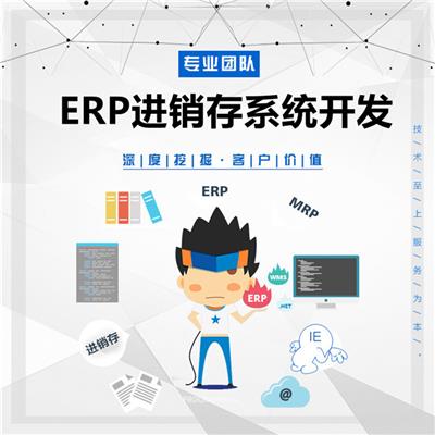 河南进销存ERP开发 个性化需求定制