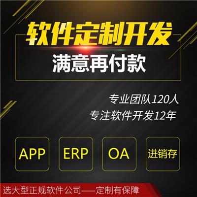 郑州进销存ERP开发公司 个性化需求定制