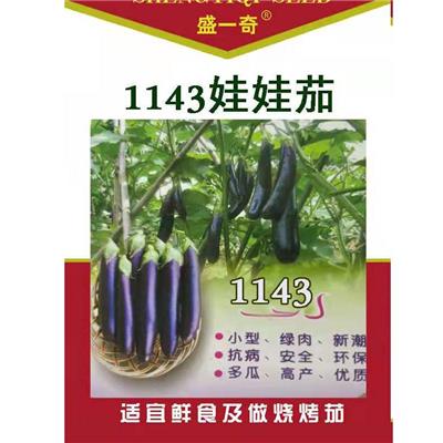 盛一奇1143娃娃茄子烧烤茄子 蔬菜种子 菜种子 种籽