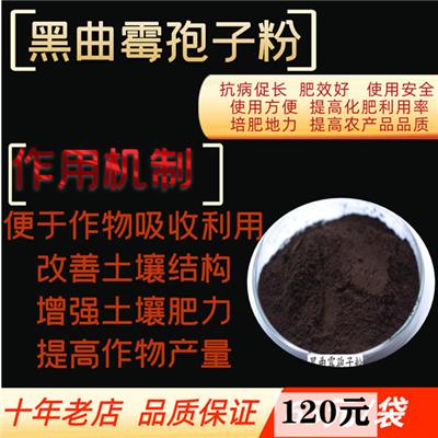 黑曲霉孢子粉的使用方法和产品优势
