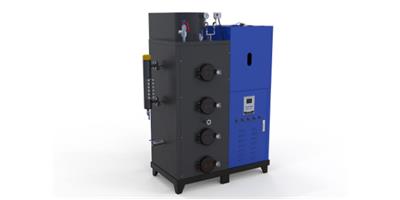 丽水卧式生物质蒸汽发生器图片 服务为先 浙江国邦热能科技供应