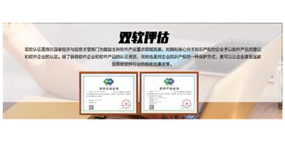 上海正规双软企业 信息推荐 上海卓迎知识产权代理供应