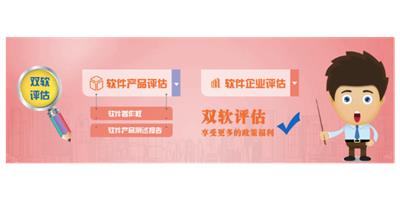 上海正规双软企业申报条件 欢迎来电 上海卓迎知识产权代理供应