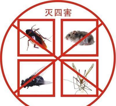 济宁市消灭蟑螂服务公司-有害生物防治