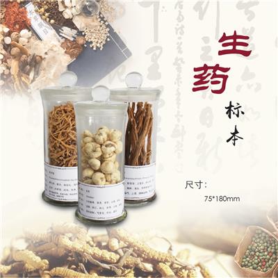 植物标本馆展示多种可选zhongcaoyao生药标本