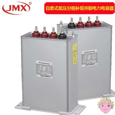 自愈式低压分相补偿并联电力电容器_BSMJ0.20-15-3YN