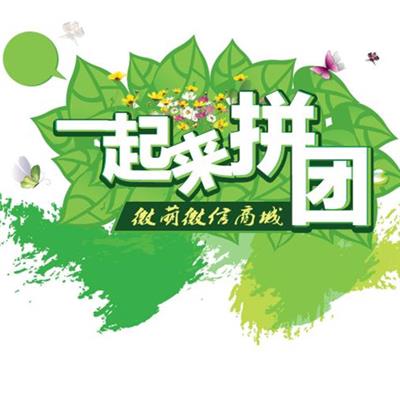 深圳快趣拼系统开发软件 3天上线