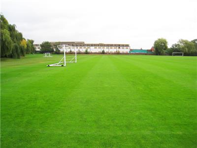 幼儿园人造草坪工地绿化草坪运动场所草坪足球场草坪