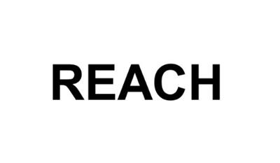 REACH注册如何运作？