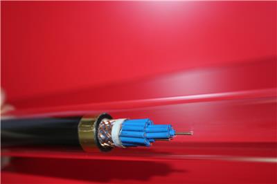屏蔽线缆KVVP 19*1.5 控制电缆