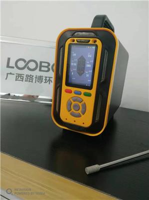 LB-PTM6-C2H6O 手提式乙醇气体分析仪厂家 内置泵吸式检测