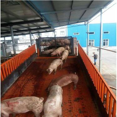 威海固定式卸猪台厂 升降平稳