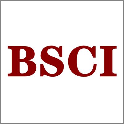 一站式服务 广东BSCI认证文件资料