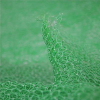 植草护坡三维土工网垫 植草网 规格可定制生产