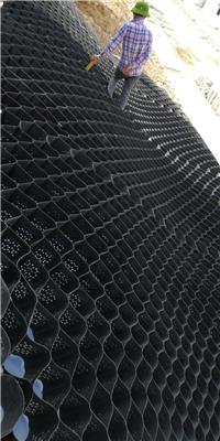 蜂巢约束土工格室高强焊接土工格室HDPE土工格室护坡山体治理河道治理150-800