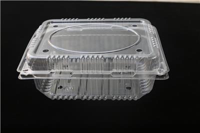 厂家直供 一斤装一次性水果盒 透明塑料包装水果打包盒子500g