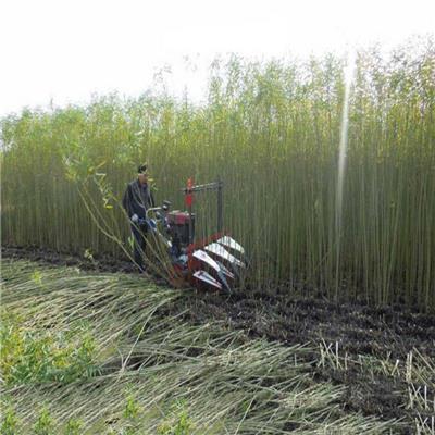 柴油黑麦草收割机 皇竹草收割机 巨菌草割晒机价格