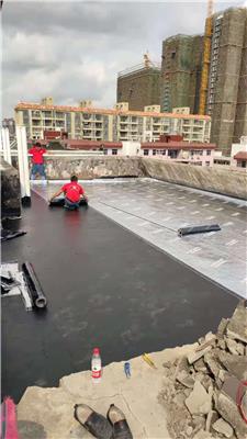 东莞市 大朗雨虹防水卷材屋顶楼顶工程高粘度防水卷材
