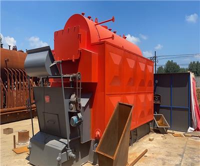 防城港12吨生物质蒸汽锅炉 可用于水泥房蒸养