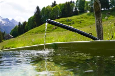 水质检测第三方机构 水质检测分析报告 挪亚检测