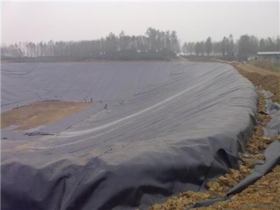 广西土工膜HDPE膜水产鱼塘养殖防渗膜覆盖膜垃圾填埋场0.75mm