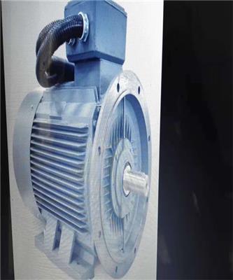 泉州風機水泵電機生產廠家 三項異步電動機 送貨上門質保一年