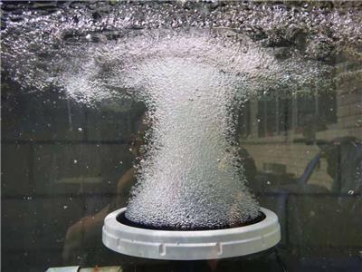 美国SSI机械开孔硅橡胶污水处理厂用盘式微孔曝气器 AFD270-S
