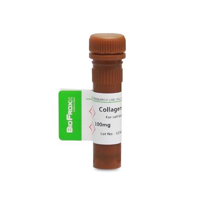 BioFroxx 胶原酶IV型 Collagenase IV
