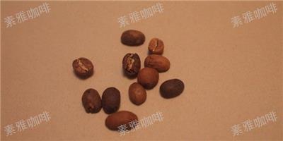 浙江咖啡素雅咖啡产品介绍 诚信经营 无锡市金红农业科技供应
