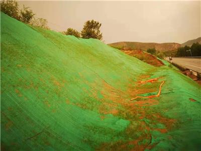 贵州三维绿化网三维植被网三维植草网三维土工网垫厂家可定制山体护坡EM4