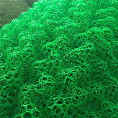 三维绿化网三维植草网三维植被网三维土工网垫河道治理EM3三层